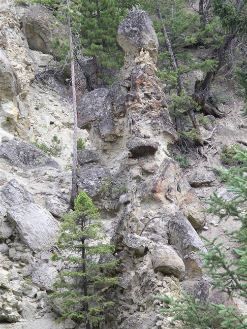 images/B- Canyon at Tower Fall. (1).jpg